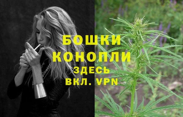 ешки Алексеевка