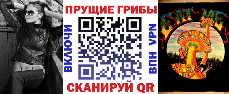 Псилоцибиновые грибы Psilocybine cubensis  где найти   Конаково 